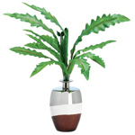 PGN Item 14902 Everlasting Plant Arrangement 