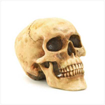PGN Item 36245 Grinning Skull Figurine 