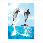 PGN Item 37248 Dolphin Fleece Blanket 